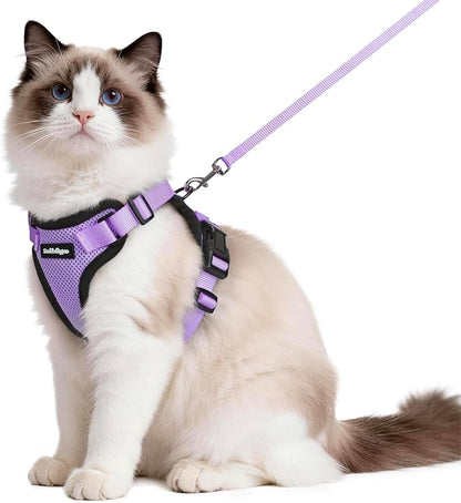 rabbitgoo Cat Harness and Leash by rabbitgoo