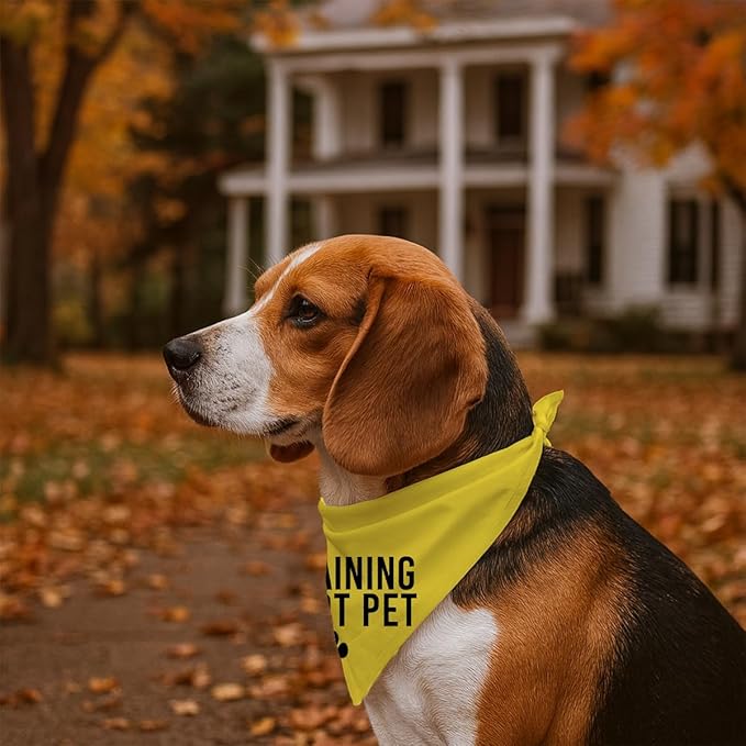 in Training Do Not Pet Dog Yellow Bandana, Training Dogs Scarf, Do Not Pet My - Image 5