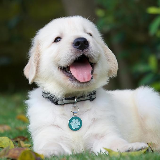MYLUCKYTAG QR Code Pet ID | Personalized Dog & Cat Collar Tag | Online Profile - Image 4