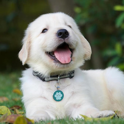 MYLUCKYTAG QR Code Pet ID | Personalized Dog & Cat Collar Tag | Online Profile - Image 4
