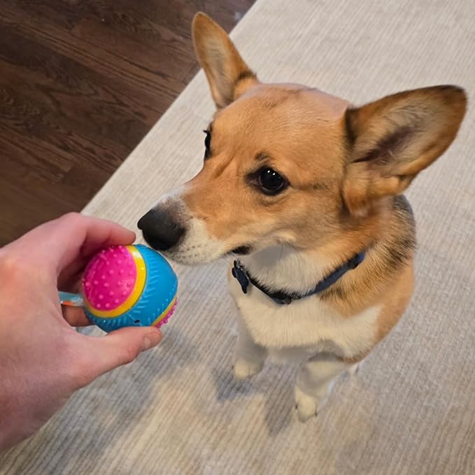 SPOT Sensory Ball for Soft Chewers - Image 13