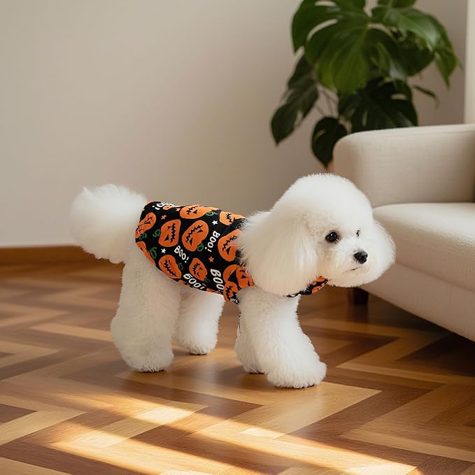 EXPAWLORER Cat Halloween Sweater - Image 6