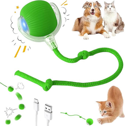 Interactive Electric Automatic Rolling Moving Rechargeable Self Play by Unknown