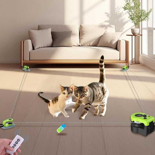 Interactive Cat Toy for Indoor by ITSHINY