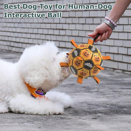 QDAN Halloween Dog Toys, Soccer Balls, Interactive Pet Toys, Puppy Dogs - Image 7
