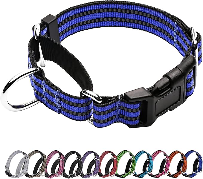 Martingale Dog Collar, Adjustable Nylon Reflective Collar by JOYEEIIOO