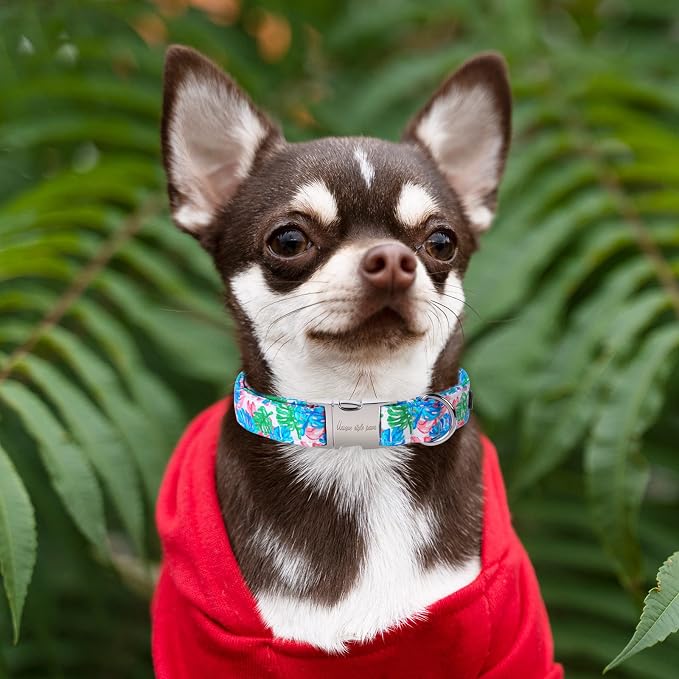 Unique Style Paws Metal Buckle Banana Leaves Dog Collar, Durable & Cute - Image 4