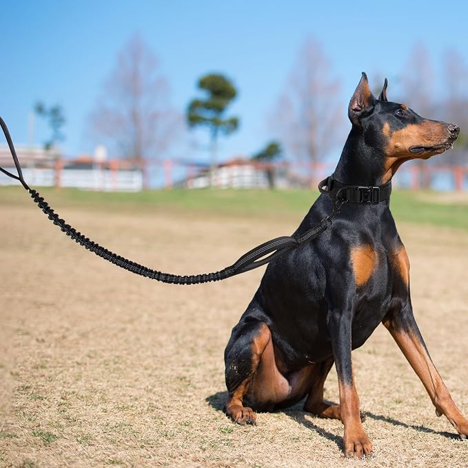 Tactical Dog Collar Set, Adjustable Military Training Nylon Dog Collar - Image 7