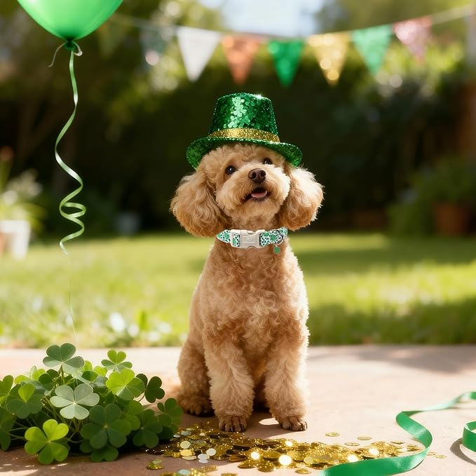 St Patricks Day Dog Collar for Large Dogs - Image 6