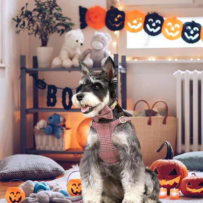Beirui Cute Small Dog Harness Collar and Leash Set - Image 3
