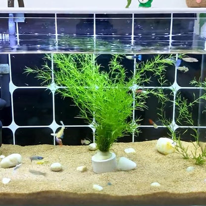 12 Pack Aquarium Plant Weights, Aquatic Plants Fixed Ring Set, Anti-Floating - Image 6