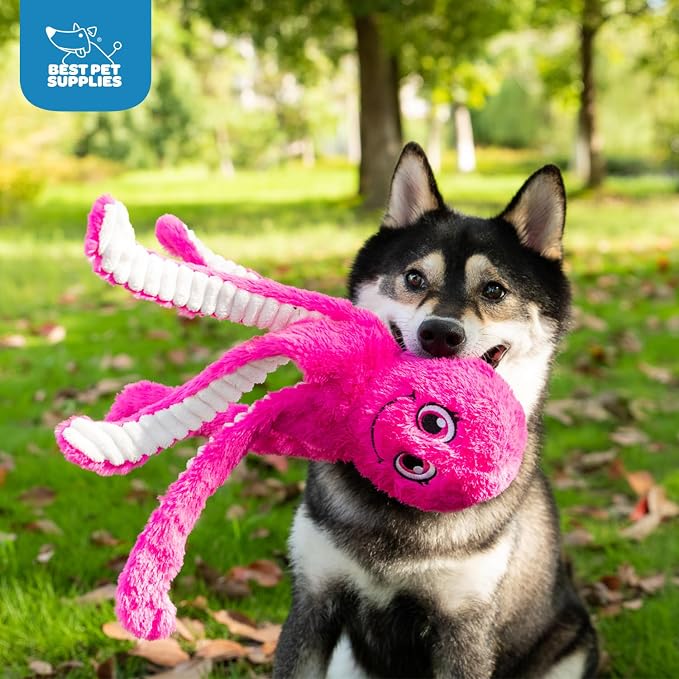 Best Pet Supplies Interactive Squeaky Dog Chew Toy, Ideal Dog Toys - Image 5