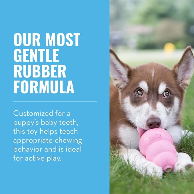 KONG - Puppy Toy Natural Teething Rubber - Fun to Chew, Chase and Fetch - - Image 3
