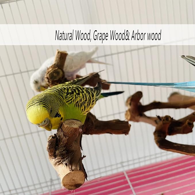 Allazone 5 PCS Natural Wooden Parrot Stand Bird Perch Stand Grape Stick Hanging - Image 4