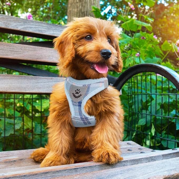 PUPTECK Adjustable Dog Harness Collar and Leash Set Step in No Pull Pet Harness - Image 8