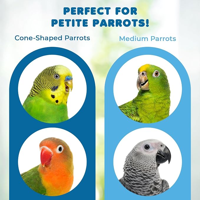 SunGrow Parrot Toy – Bird Foraging & Chew Toy - Image 5
