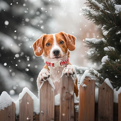 Christmas Dog Collar - Image 5