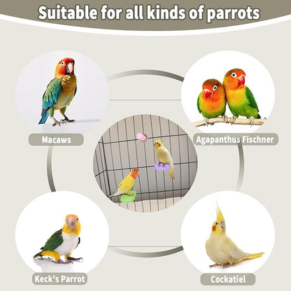 4PCS Bird Beak Grinding Stone, Cage Accessories - Image 8