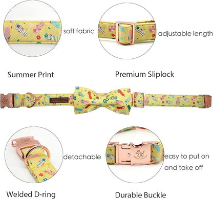 Elegant Little Tail Bowtie Dog Collar - Image 2