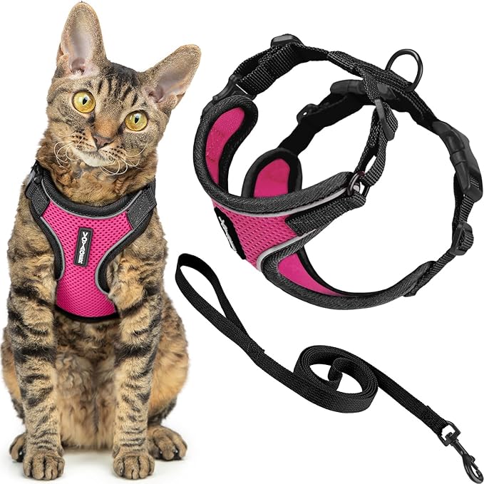 Voyager Escape-Proof Step-in Lock Cat Harness & 5ft Neoprene-Handle Leash Set by BestPetSuppliesLLC
