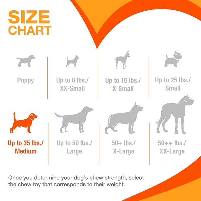 Nylabone Flexi Chill & Chew Toy - Image 4