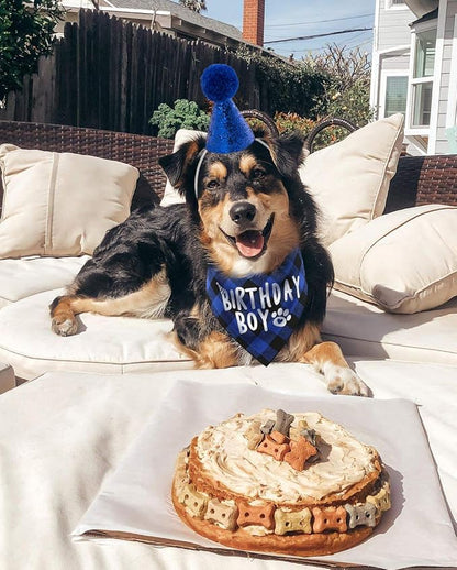 Dog Birthday Party Supplies, Pet Birthday Hat and Boy Doggy Birthday Bandana Set - Image 4