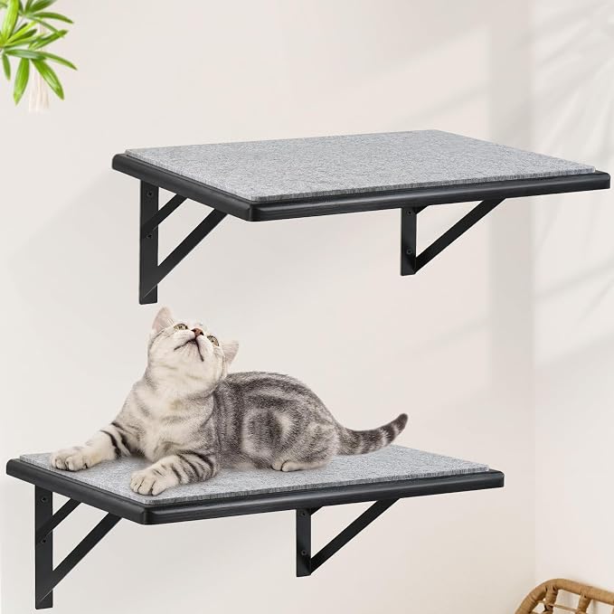 Cat Wall Shelves Set of 2, Wood Cat Shelves by GADKE