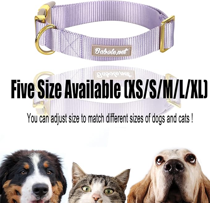 Nylon Dog Collar - Image 7