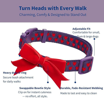 Blueberry Pet Adjustable Flocking Dog Collar - Image 2