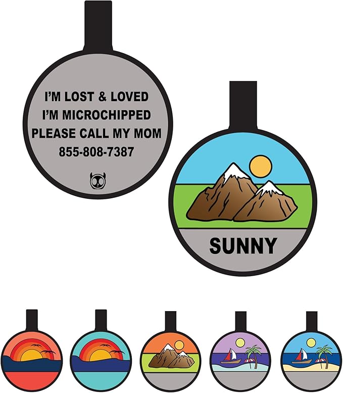 Silent Dog Tag Personalized by PetANTastic