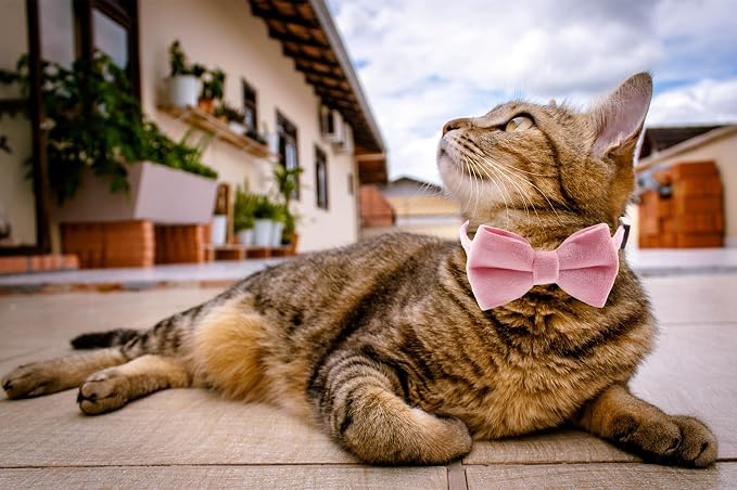 Cat Collar Breakaway with Bell and Removable Bow Tie Safety Buckle Velvet - Image 7