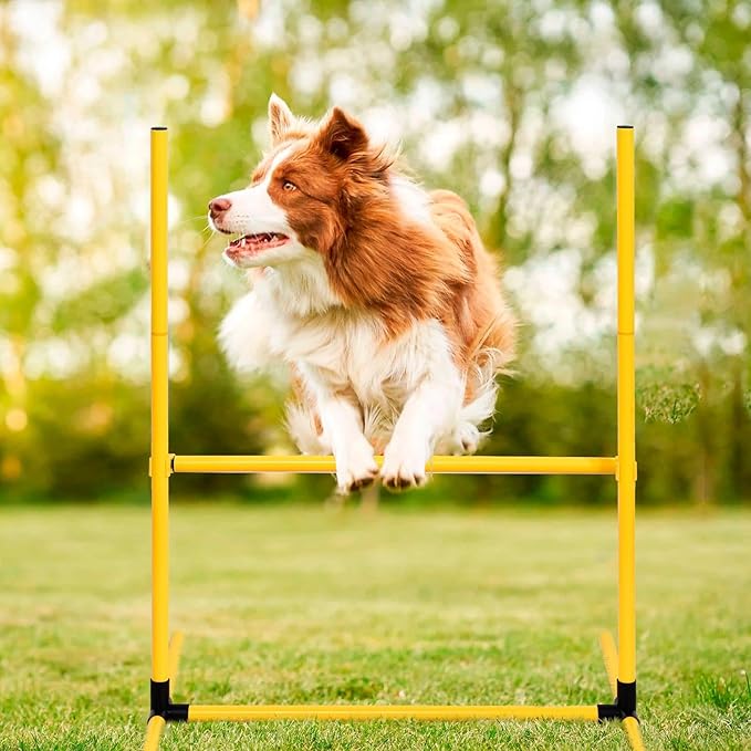 Dog Agility Training Equipment, Dog Agility Course Backyard Set - Image 9
