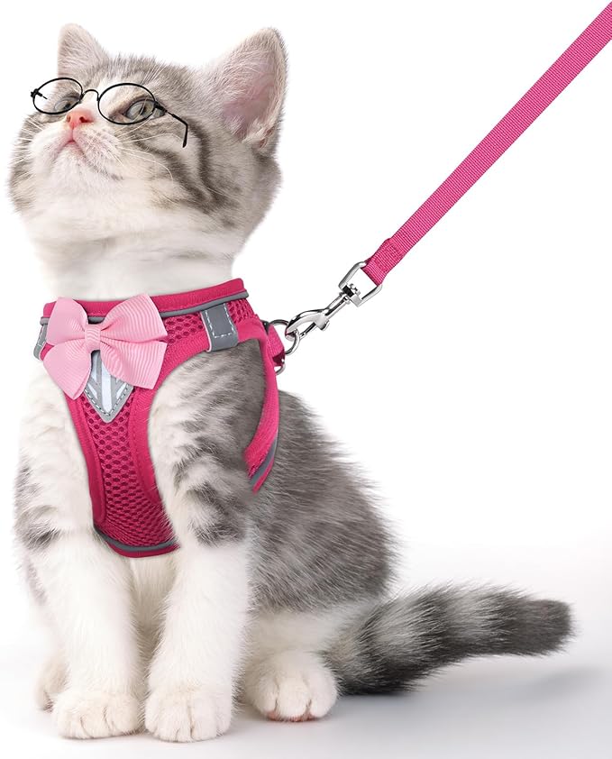 Cat Vest Harness and Leash Set for Walking Escape Proof, Adjustable Kitten by NCMAMA