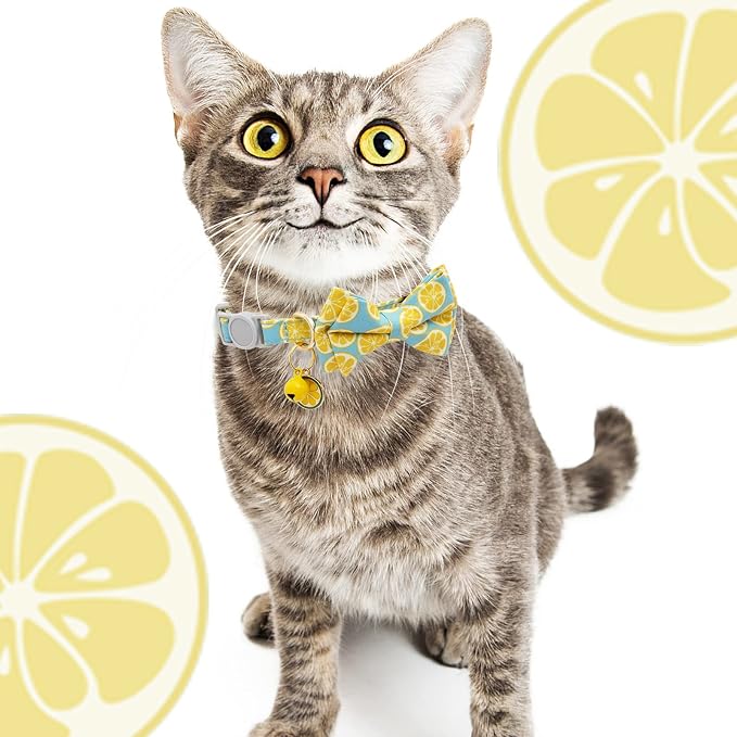 Faygarsle 2 Pack Cute Cat Collar - Image 7