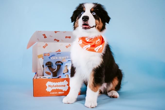 Nylabone Gourmet Style Femur & Wishbone Strong Chew Toy - Image 13