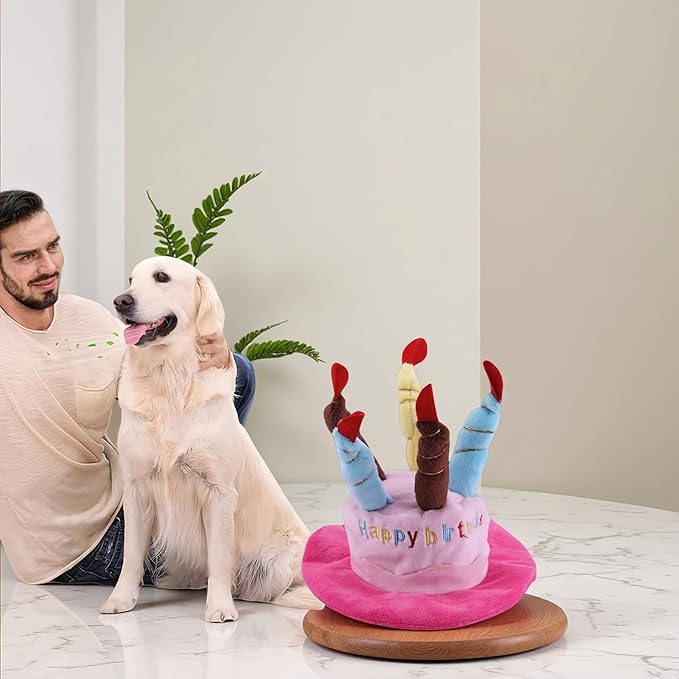 Cute Pet Party Hat for Dogs&Cats - Image 7