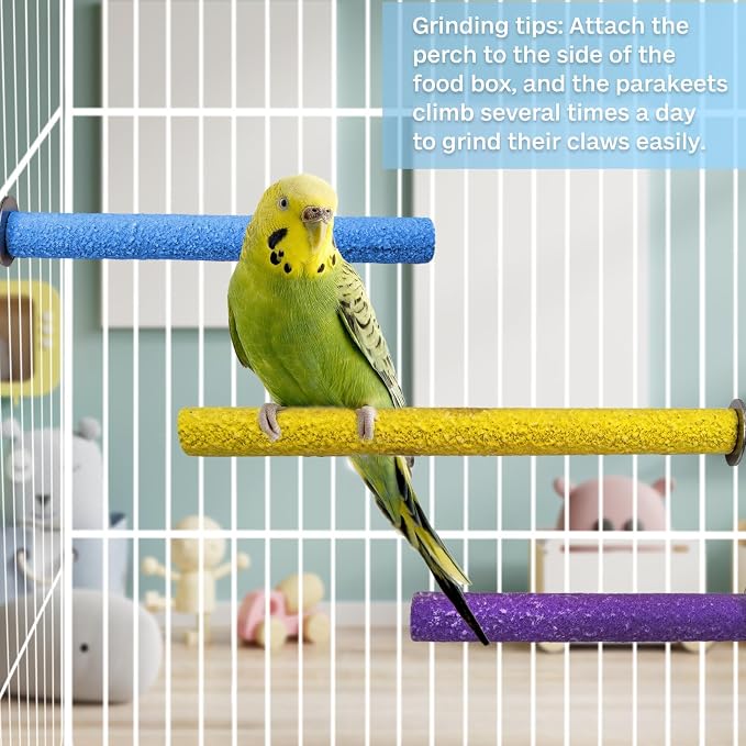 PIVBY Wood Bird Cage Perch Colorful Parrot Stand Toy Platform Paw Grinding Stick - Image 6