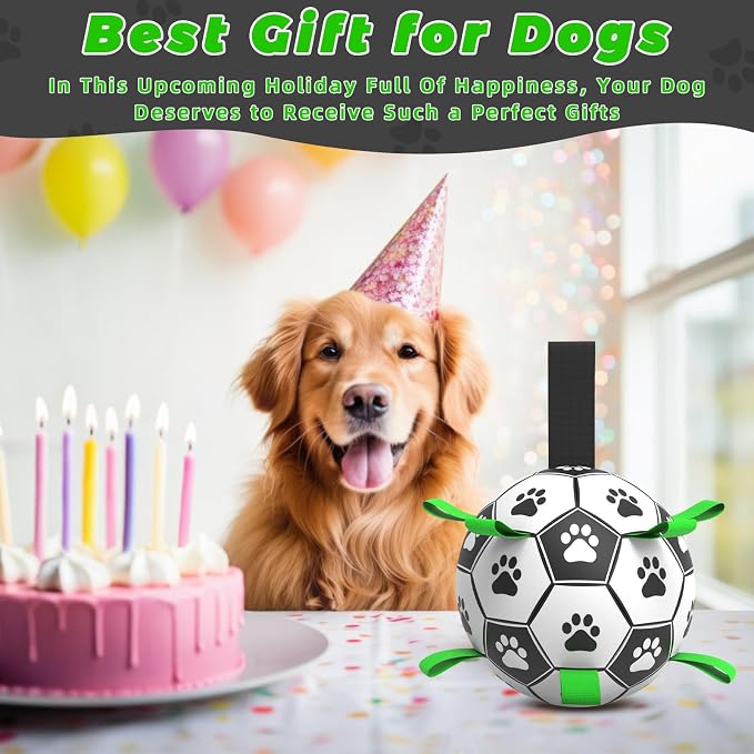 QDAN Dog Toys for Small Medium Puppy, Soccer Ball for Dogs - Image 2