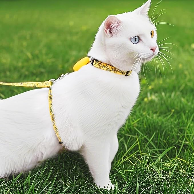 PUPTECK Adjustable Cat Harness and Leash Set Escape Proof Kitten Strap Collar - Image 6