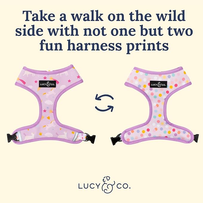Lucy & Co. Cute Reversible Dog Harness Walking Halter - Image 3