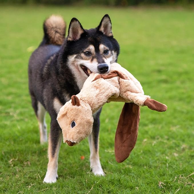 Best Pet Supplies Squeaky Dog Toys - Image 8