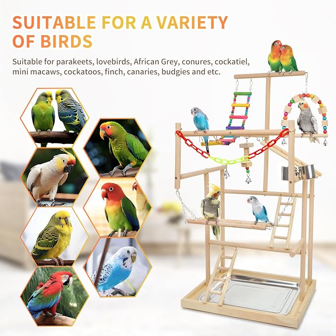 Bird Playground, Playstand for Parrot Cage Accessories - Image 4