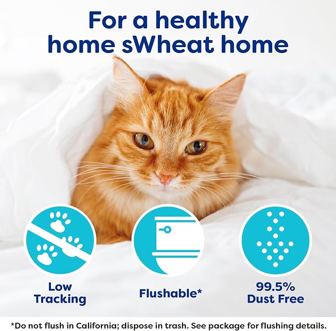 sWheat Scoop Natural Wheat Cat Litter, Fast Clumping - Image 5