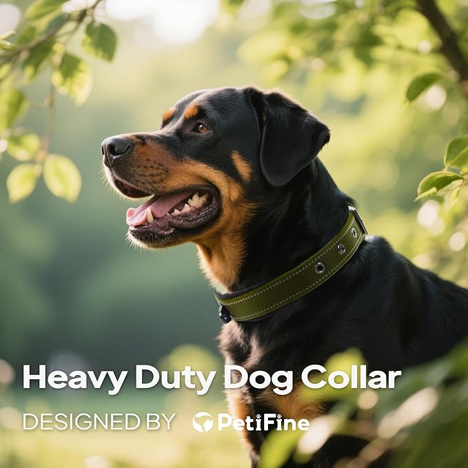 PetiFine Dog Collars for Medium Dogs, Neoprene Padded and Adjustable, - Image 2