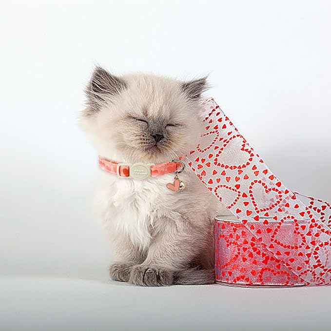 Unique style paws 2 Pack Valentine's Kitten Collar Breakaway - Image 6