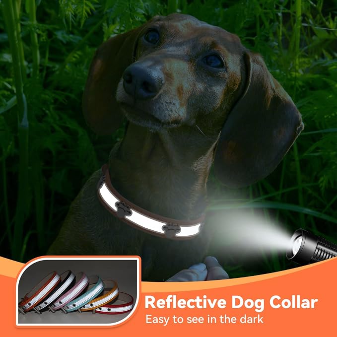 PETCARE Reflective Dog Collar - Image 5