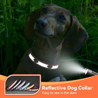 PETCARE Reflective Dog Collar - Image 5