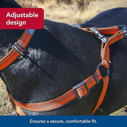 Coastal Pet K9 Explorer Reflective Adjustable Padded Dog Harness - Image 4