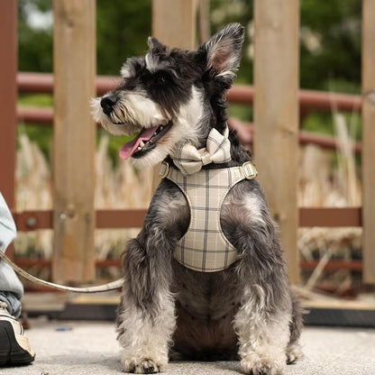 Beirui Cute Small Dog Harness Collar and Leash Set - Image 3