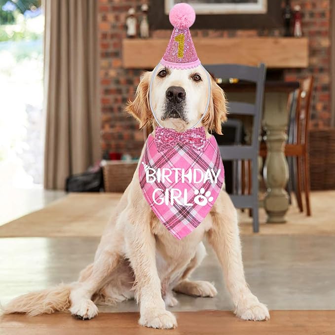 STMK Dog Birthday Outfits - Image 2